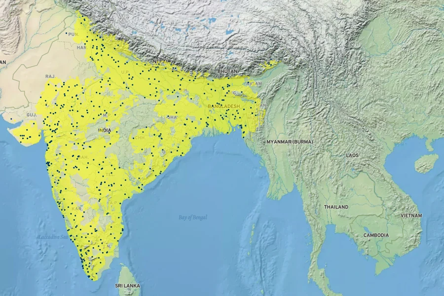 Abelmoschus esculentus Native Range