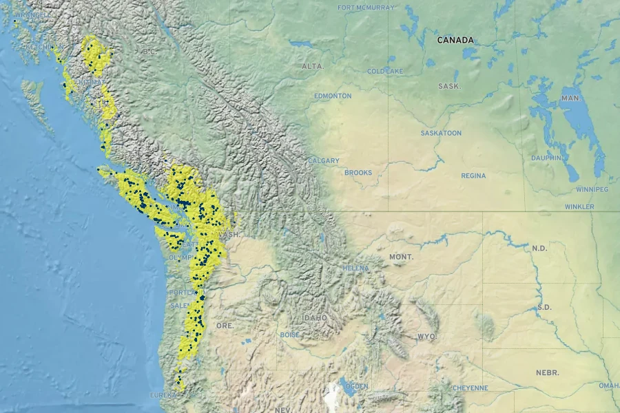 Abies amabilis Native Range