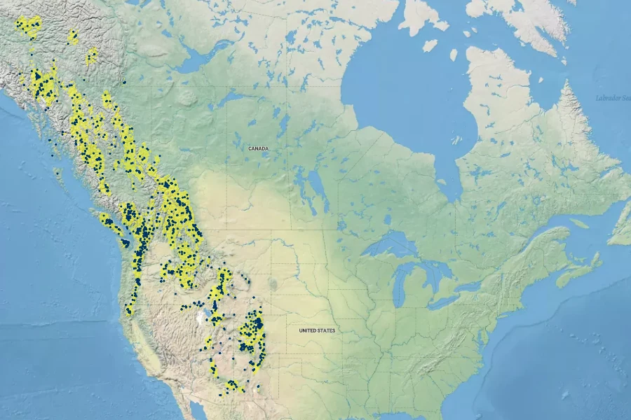 Abies lasiocarpa Native Range