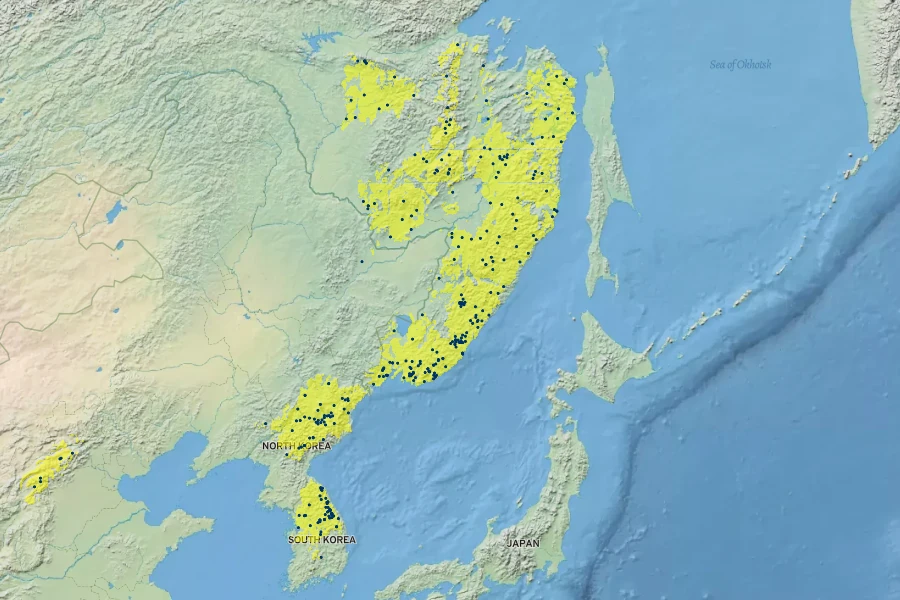 Abies nephrolepis Native Range