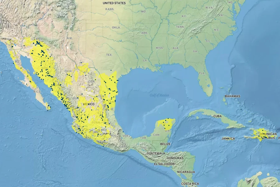 Abutilon abutiloides Native Range