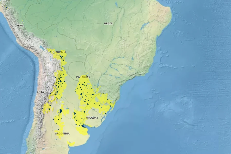 Abutilon grandifolium Native Range