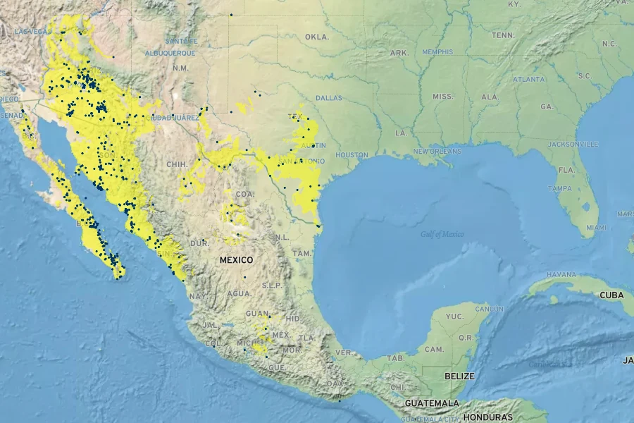 Abutilon incanum Native Range