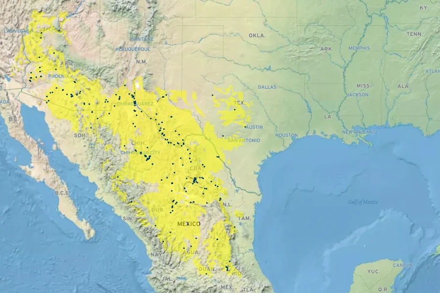 Abutilon malacum Native Range