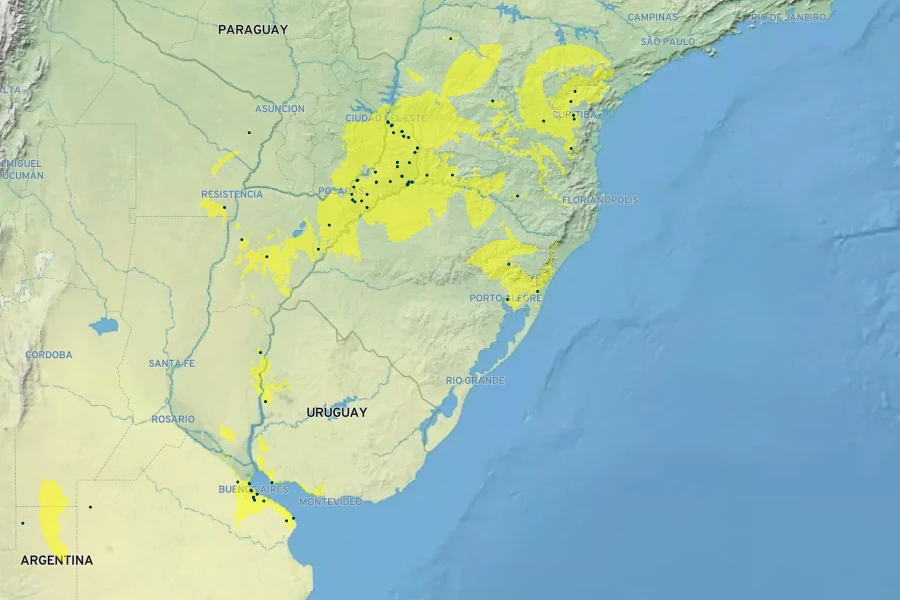 Abutilon pictum Native Range