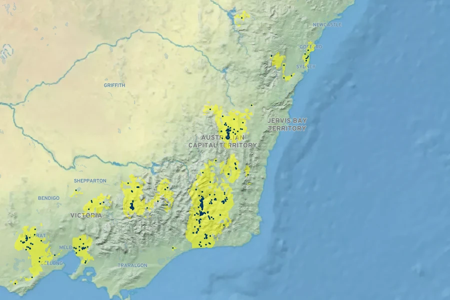 Acacia boormanii Native Range