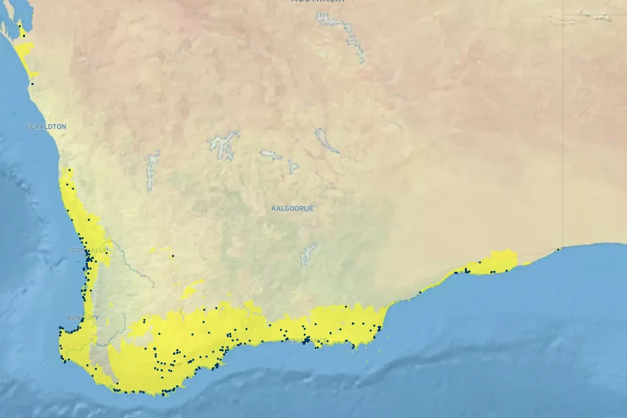 Acacia cochlearis Native Range
