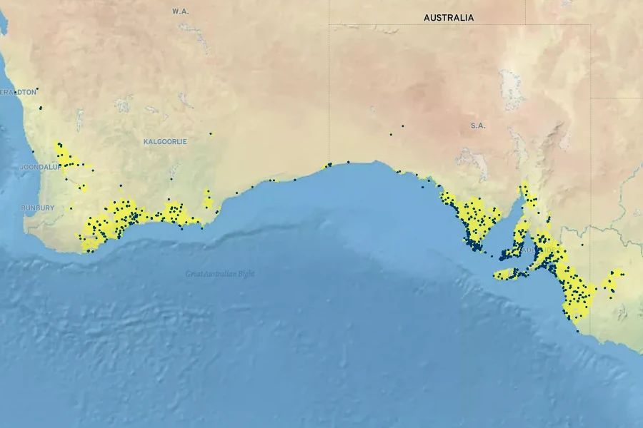 Acacia cupularis Native Range