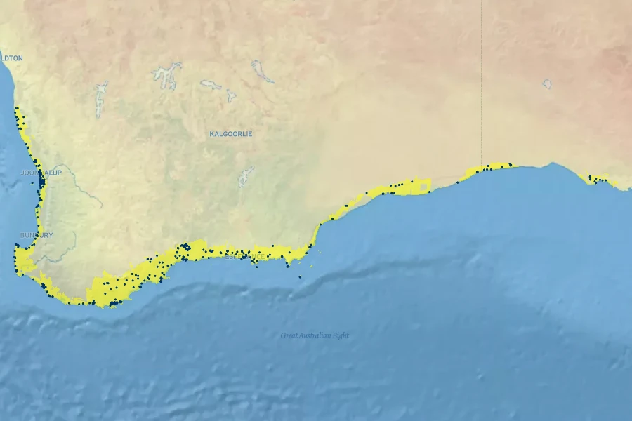 Acacia cyclops Native Range