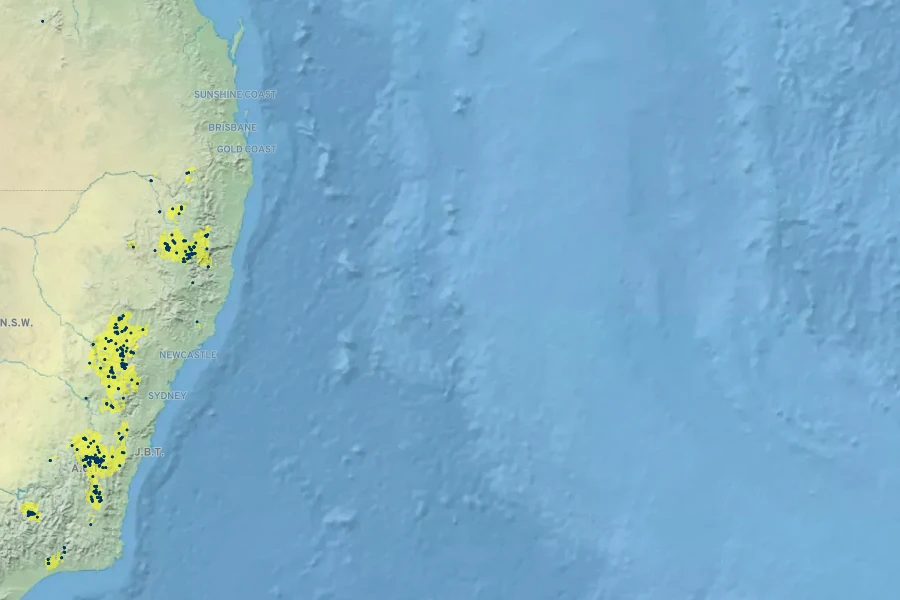 Acacia dawsonii Native Range