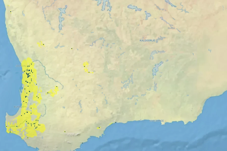 Acacia dentifera Native Range