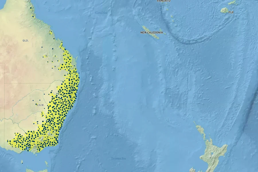 Acacia implexa Native Range