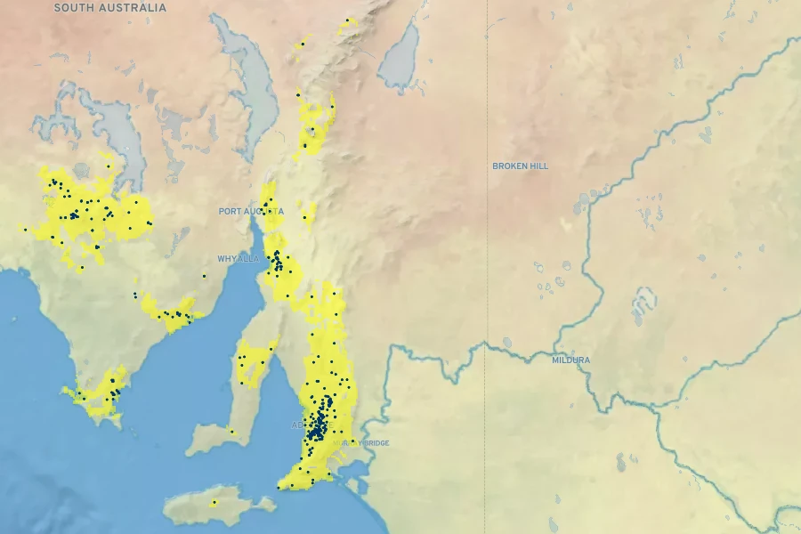Acacia iteaphylla Native Range