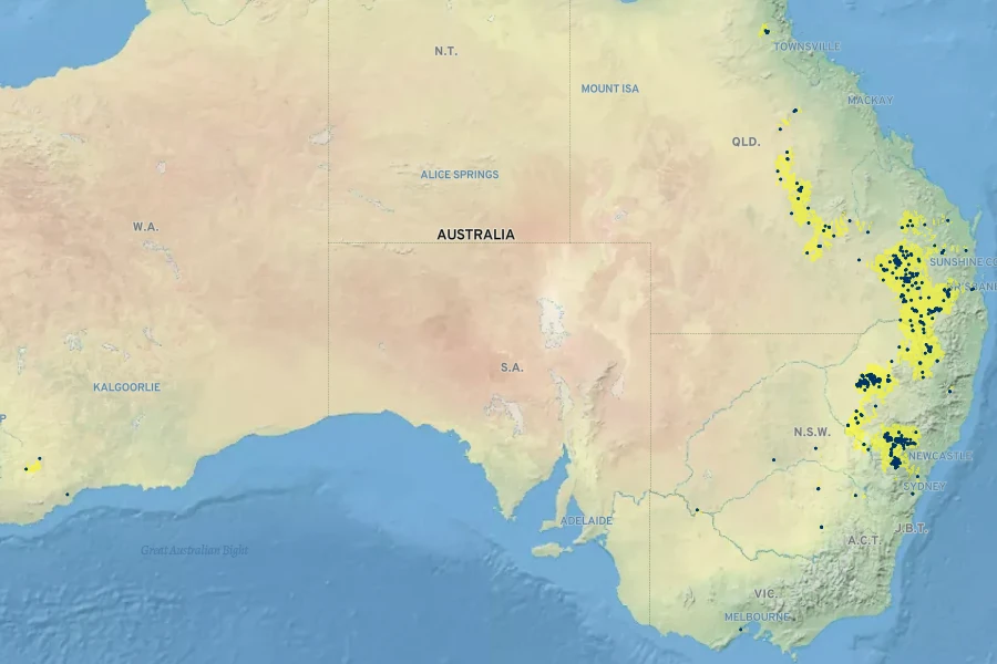Acacia ixiophylla Native Range