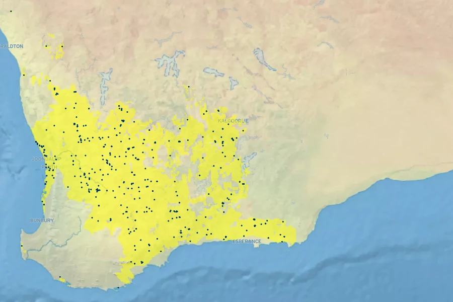 Acacia lasiocalyx Native Range