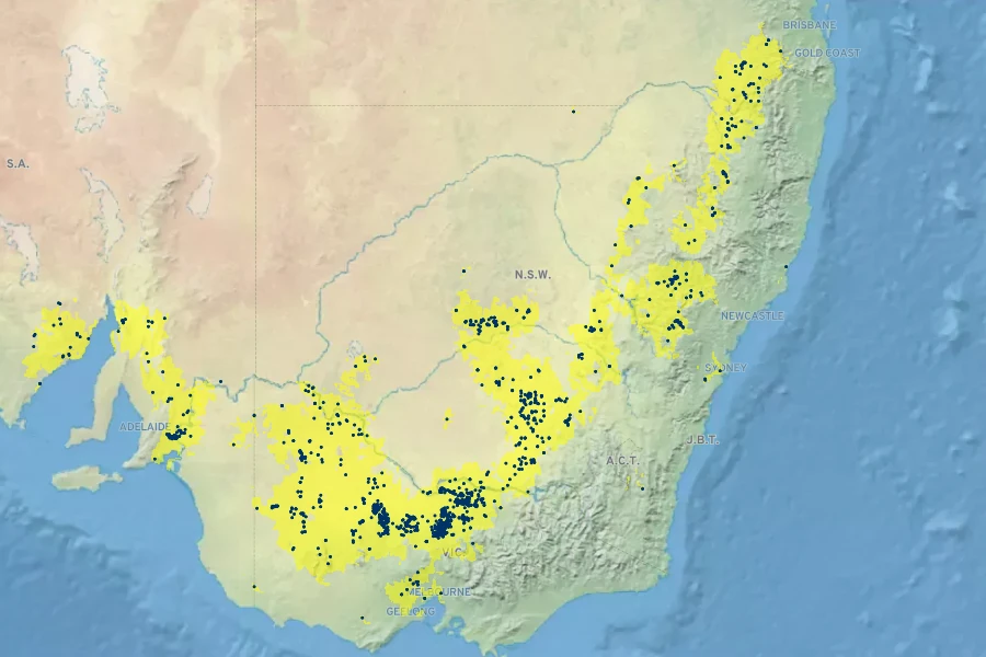 Acacia montana Native Range