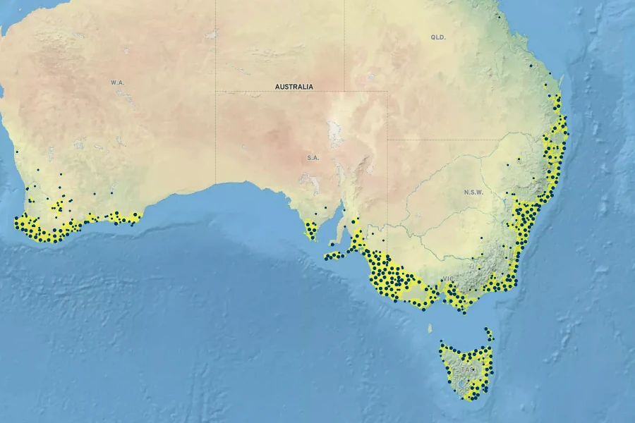 Acacia myrtifolia Native Range