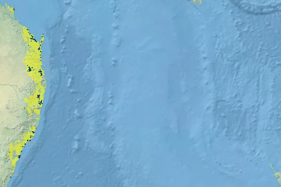 Acacia quadrilateralis Native Range