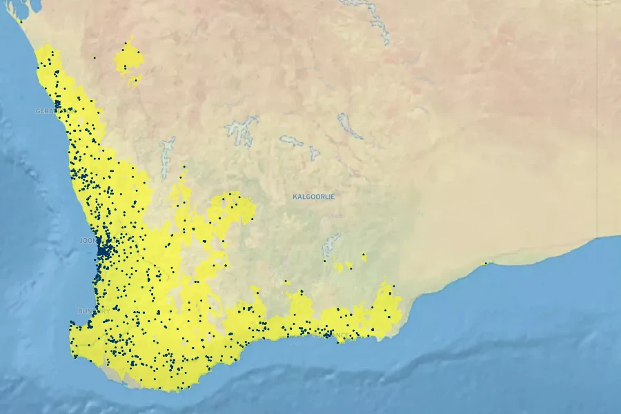 Acacia saligna Native Range
