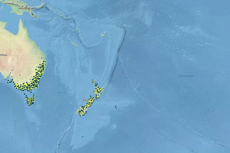 Acaena novae-zelandiae Native Range