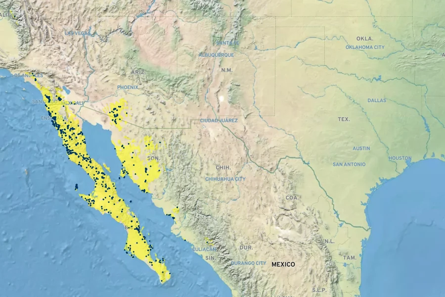 Acalypha californica Native Range
