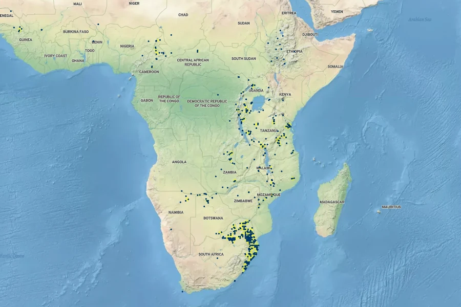 Acalypha petiolaris Native Range