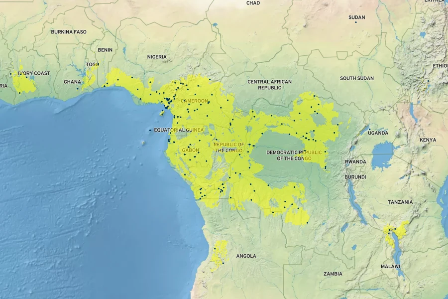 Acanthus montanus Native Range