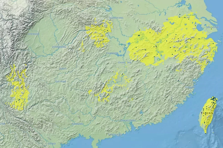 Acer buergerianum Native Range