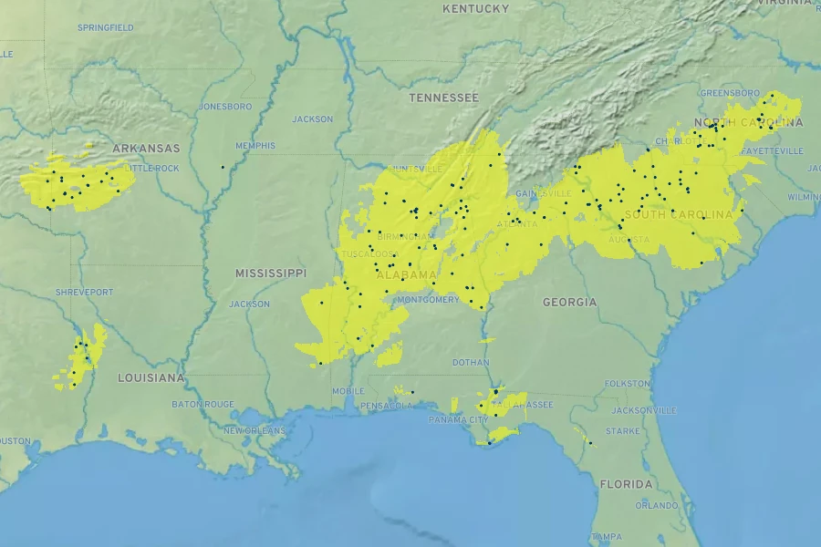 Acer leucoderme Native Range