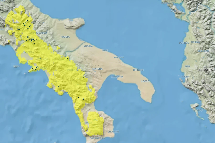 Acer lobelii Native Range