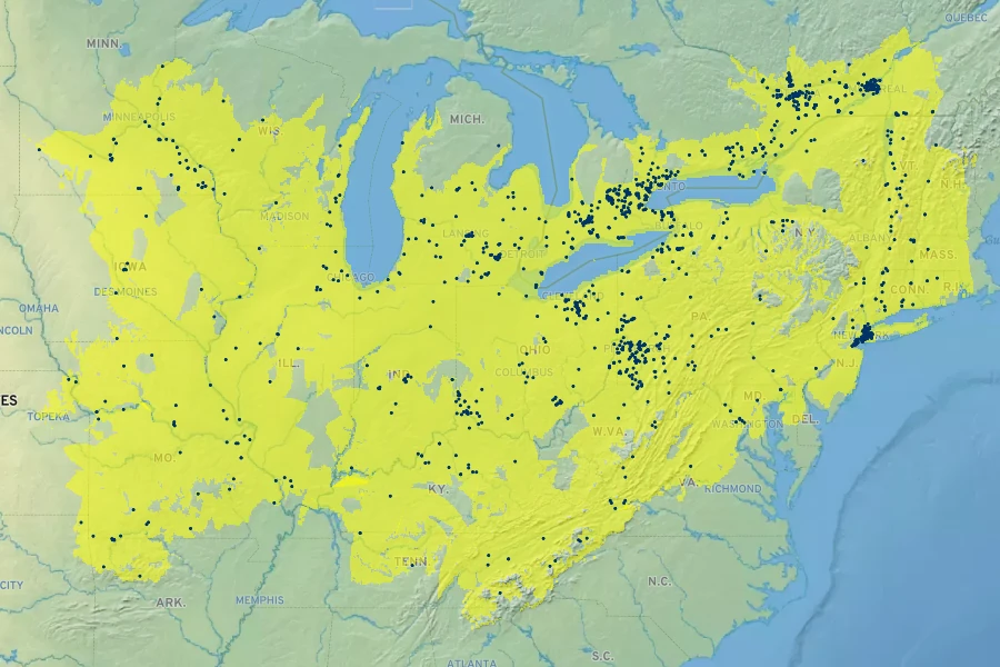 Acer nigrum Native Range
