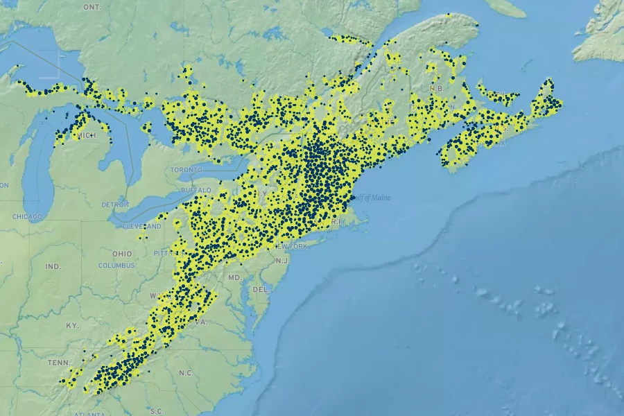 Acer pensylvanicum Native Range