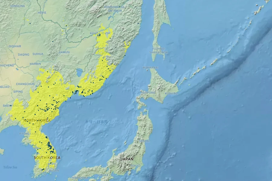 Acer tegmentosum Native Range
