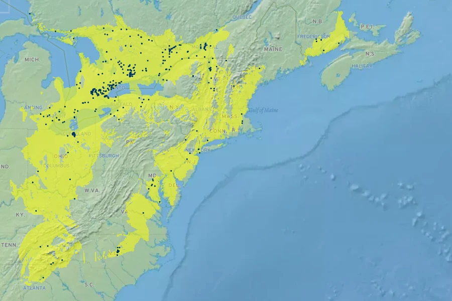 Acer ×freemanii Native Range