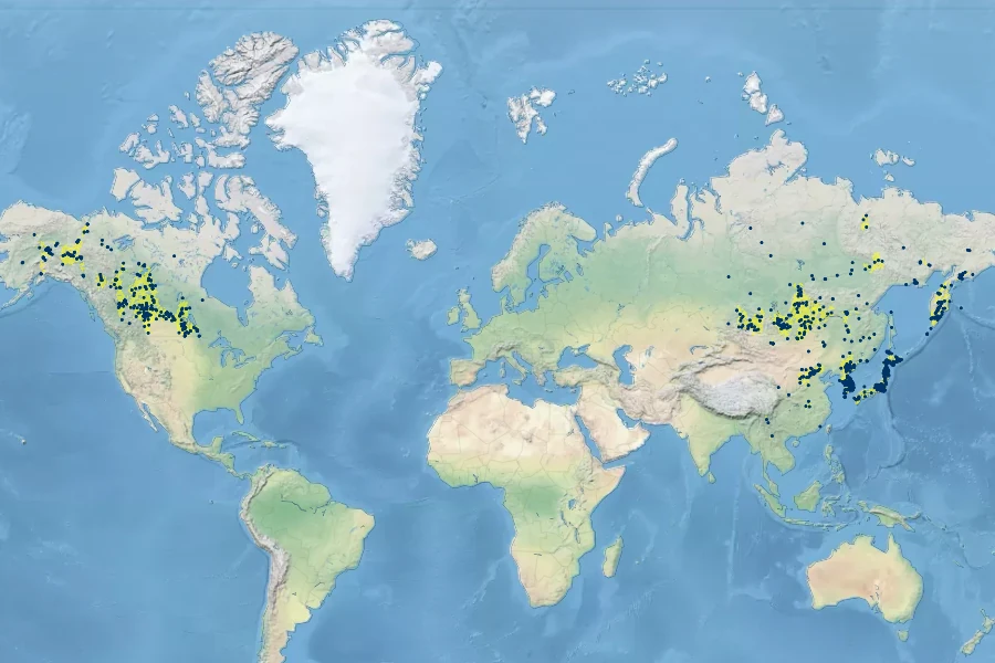Achillea alpina Native Range