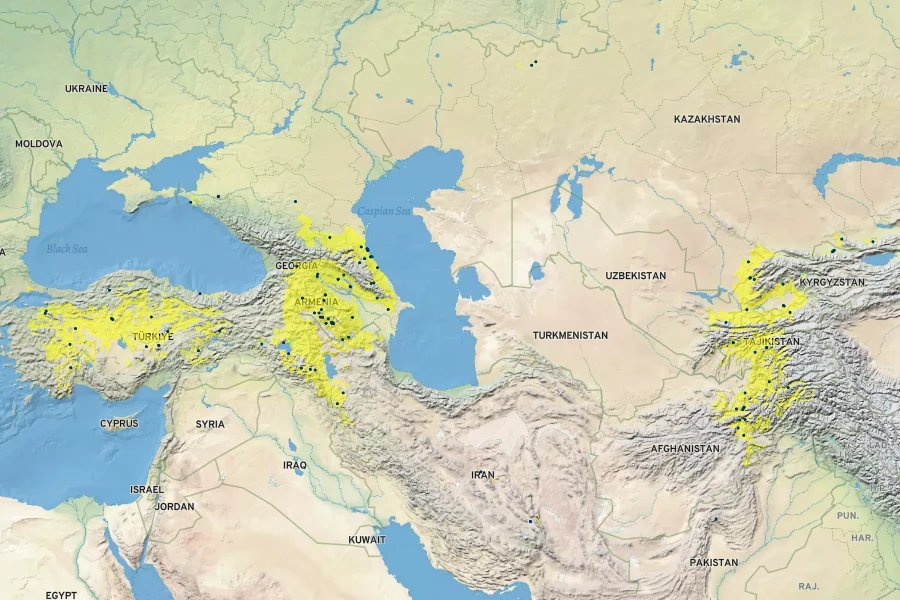 Achillea filipendulina Native Range