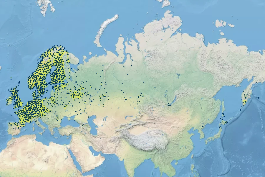 Achillea ptarmica Native Range
