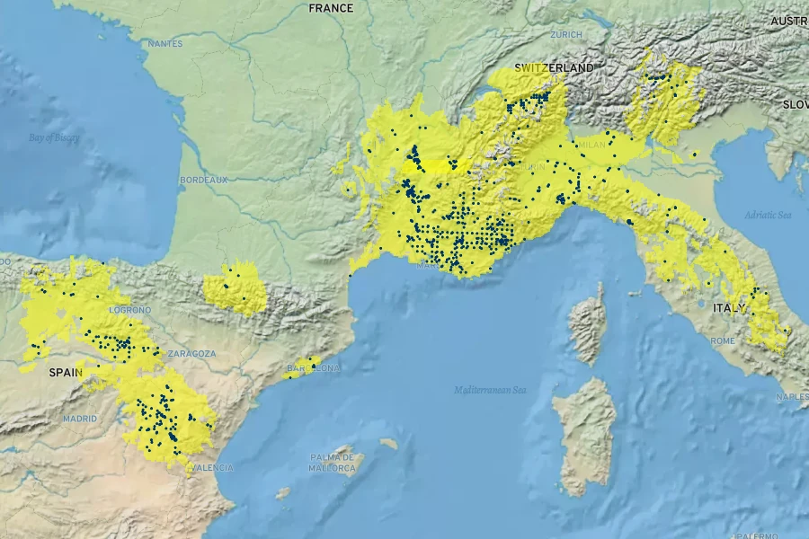 Achillea tomentosa Native Range