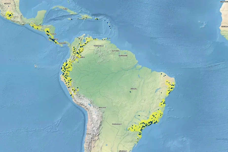 Acnistus arborescens Native Range