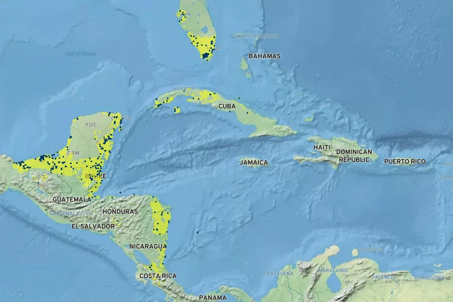 Acoelorraphe wrightii Native Range