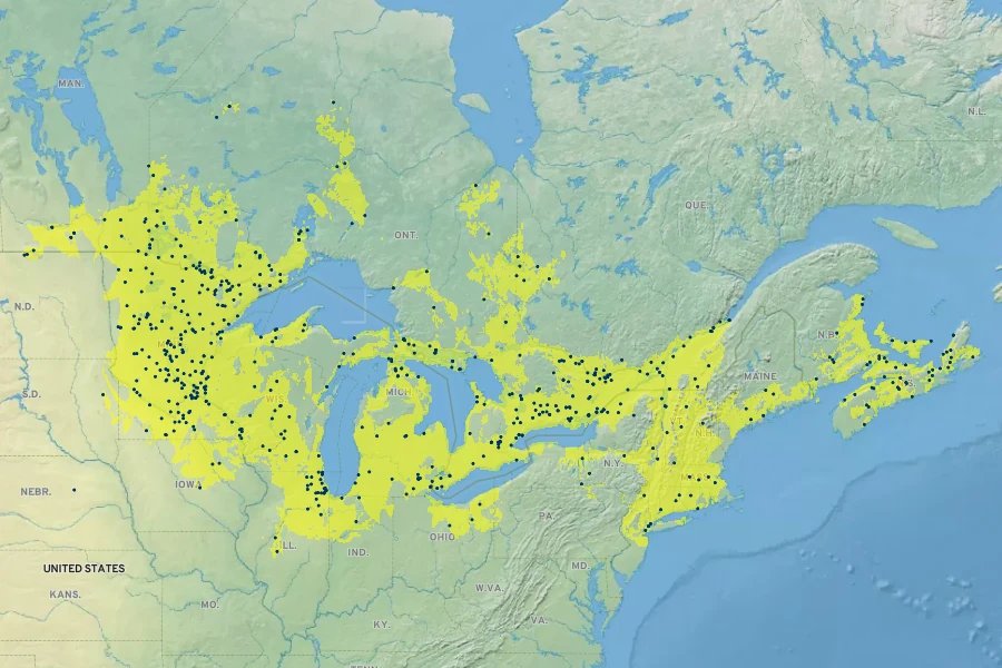 Acorus americanus Native Range