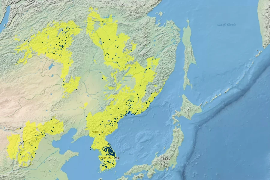 Actaea dahurica Native Range