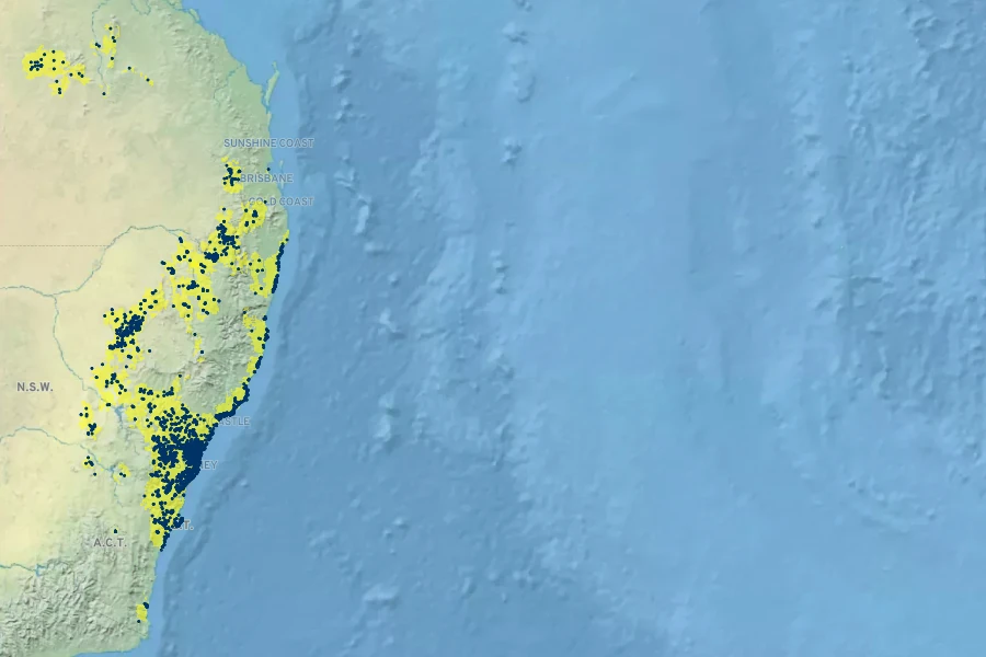 Actinotus helianthi Native Range