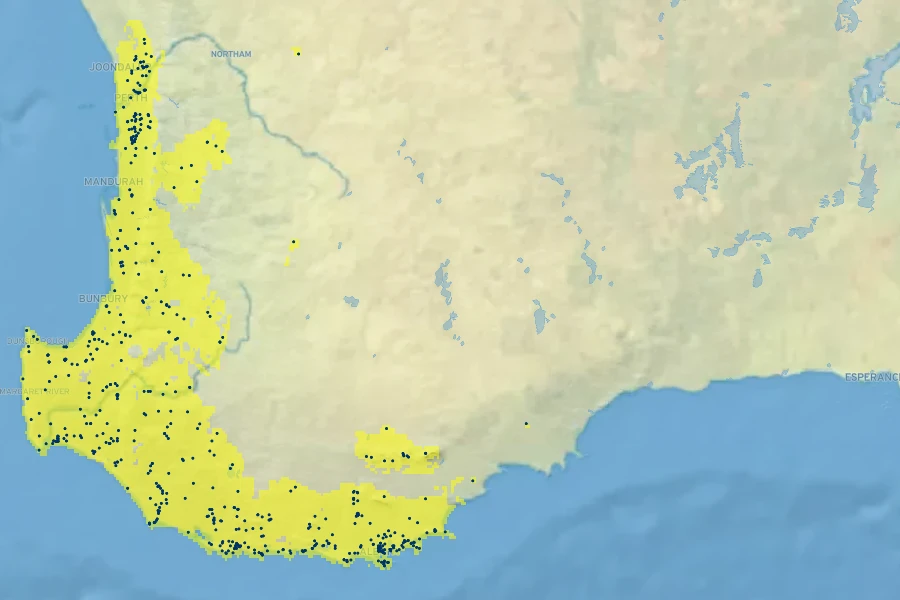 Adenanthos obovatus Native Range
