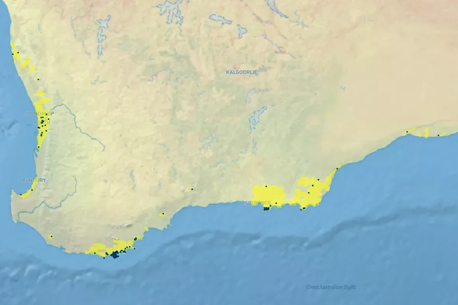 Adenanthos sericeus Native Range