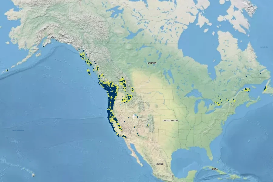 Adiantum aleuticum Native Range