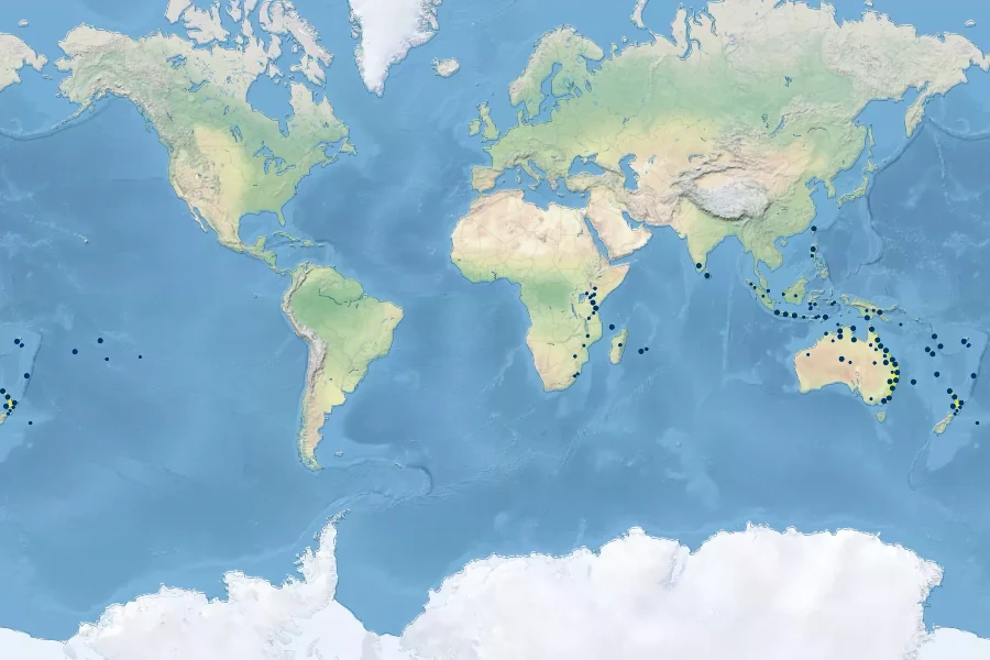 Adiantum hispidulum Native Range
