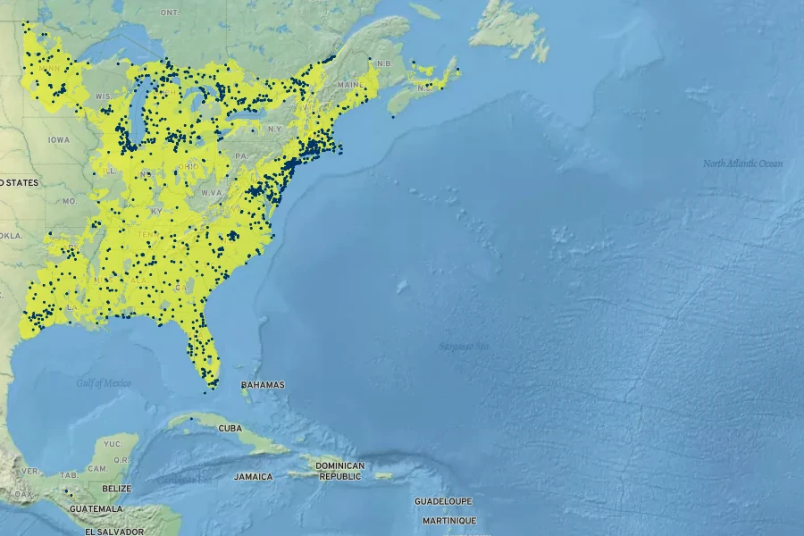 Agalinis purpurea Native Range