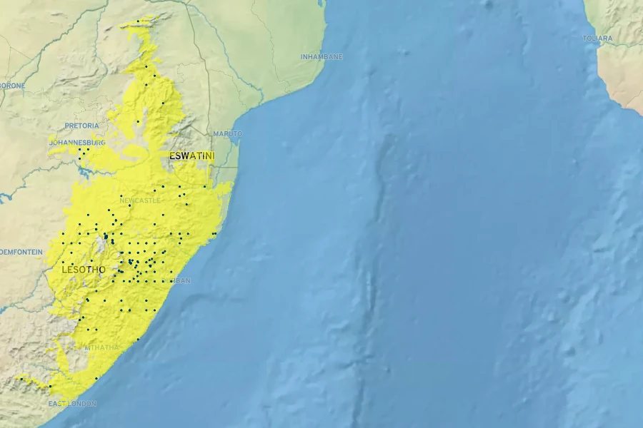 Agapanthus campanulatus Native Range