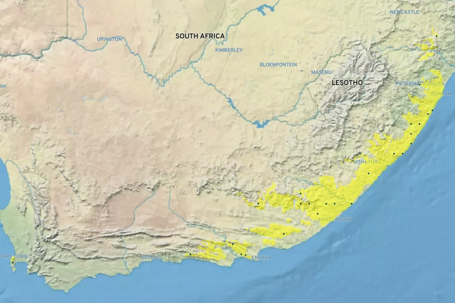 Agapanthus orientalis Native Range